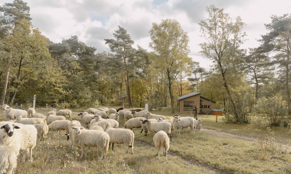 Maison nature à Lemele