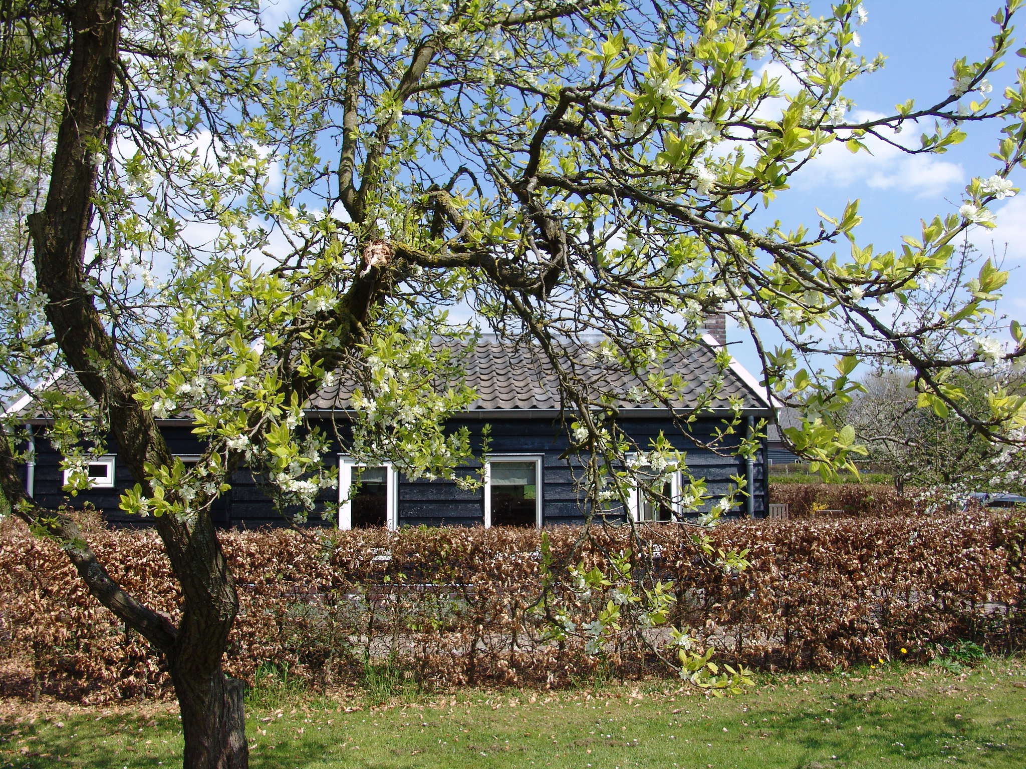 Maison nature à Culemborg