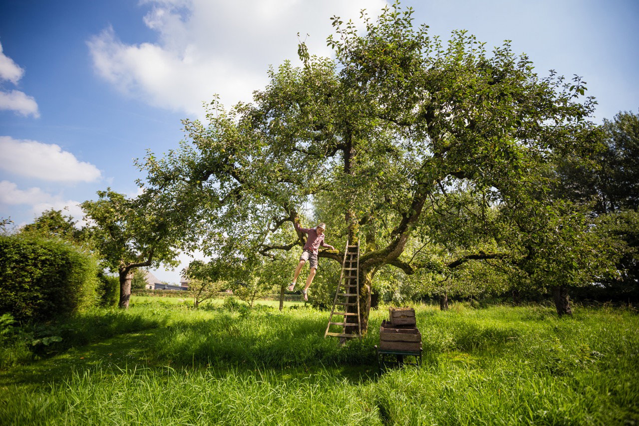 Maison nature à Culemborg
