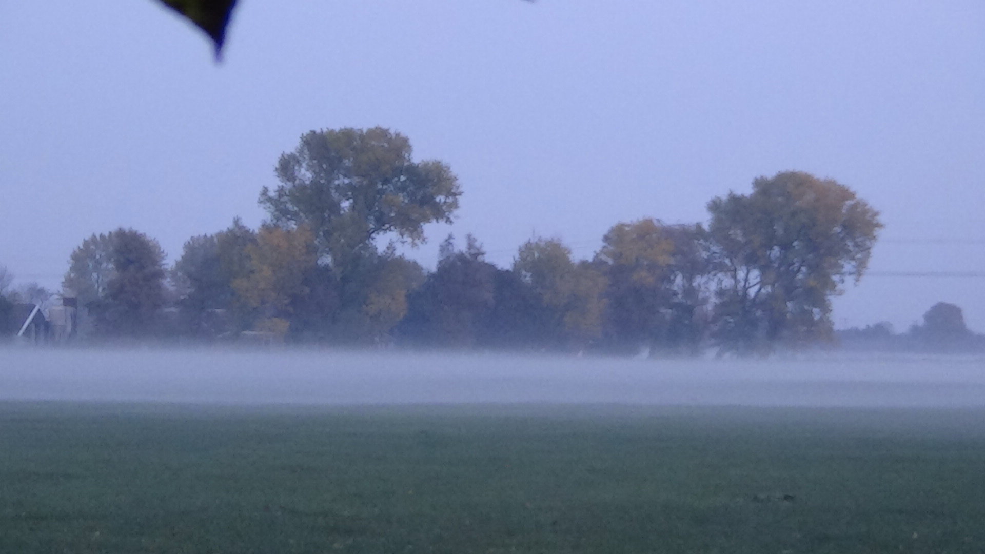 Naturhäuschen in Grou