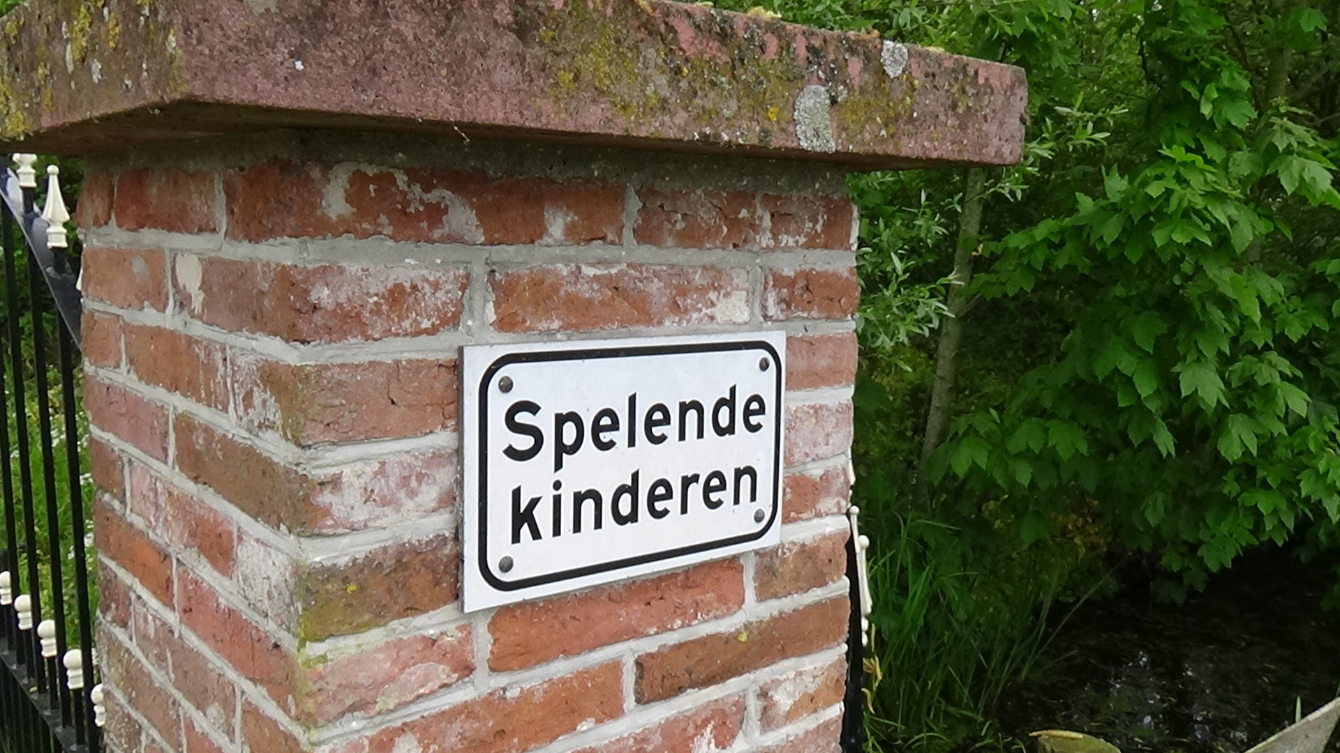 - image: 32