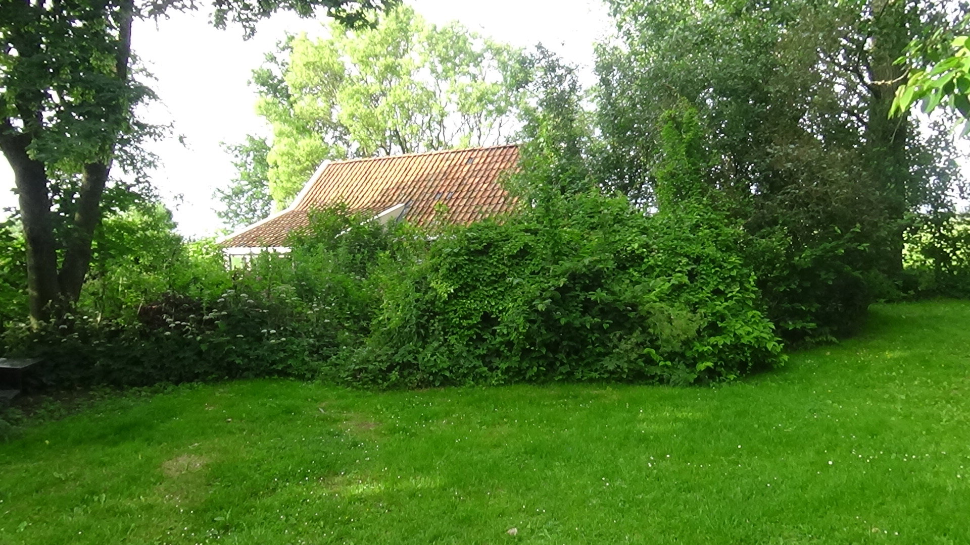 - image: 25