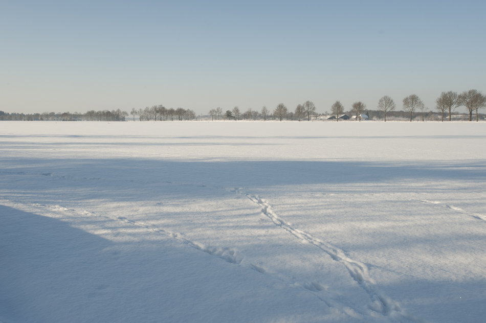 - image: 29