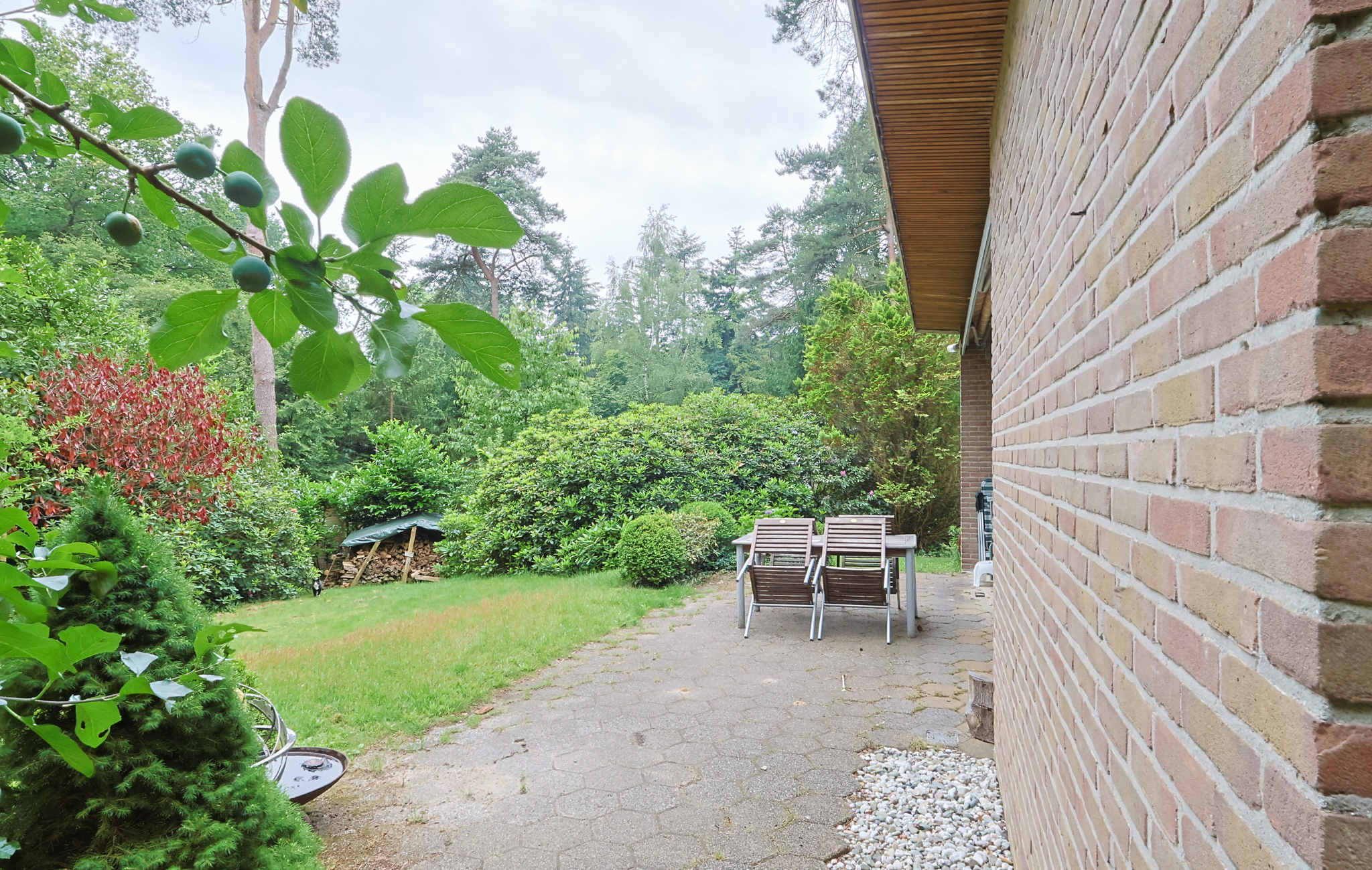 Natuurhuisje in Diever