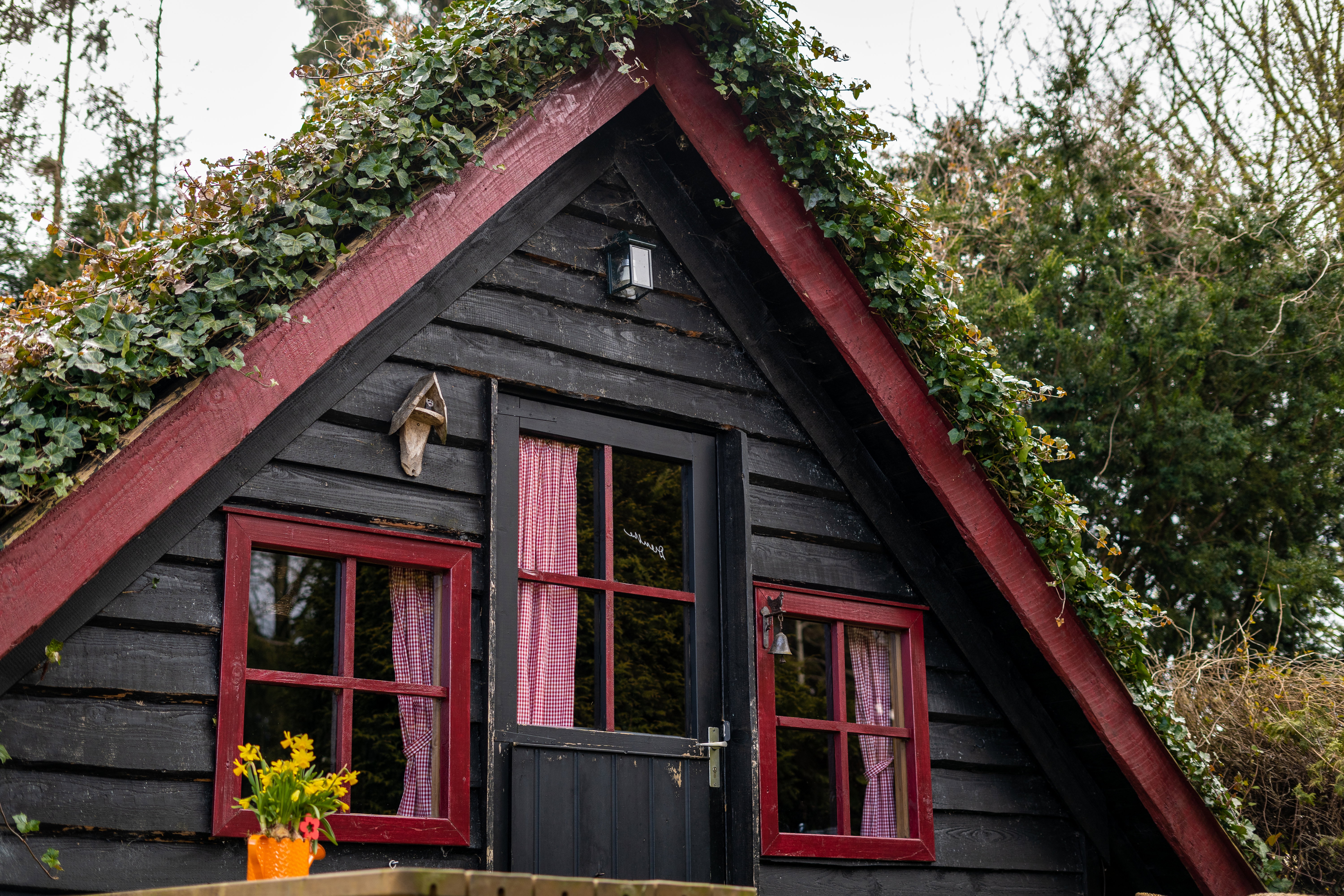 Maison nature à Roswinkel