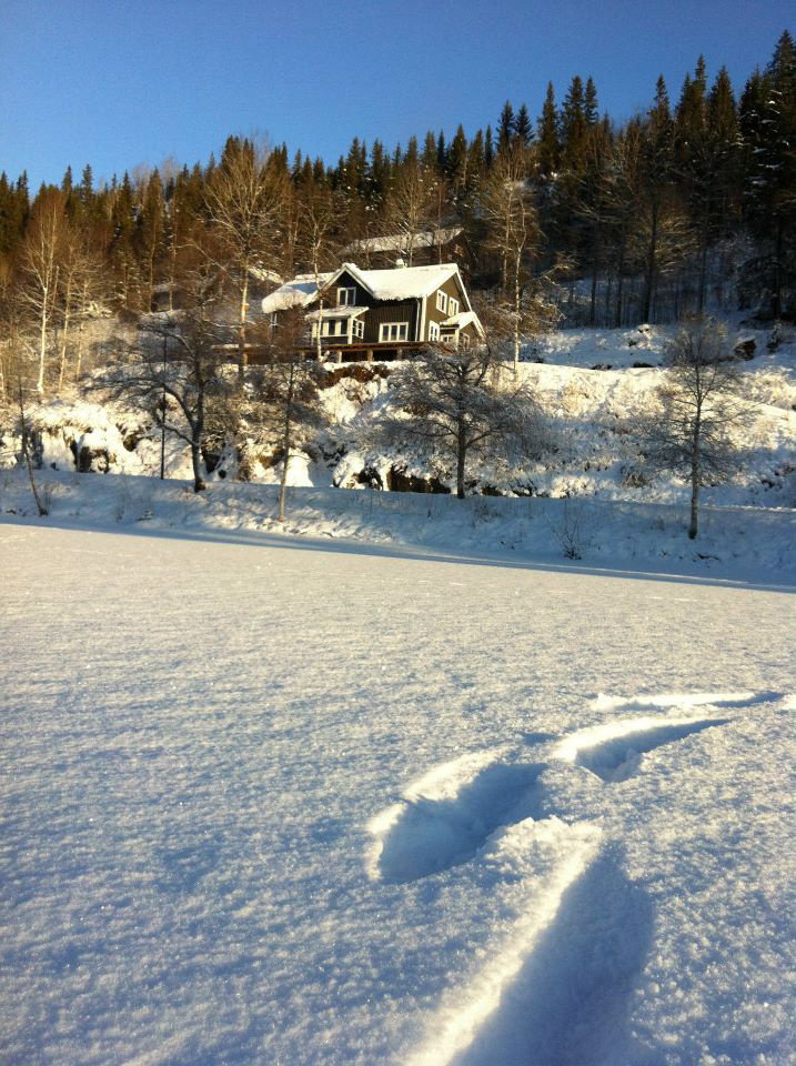 Maison nature à Morgedal