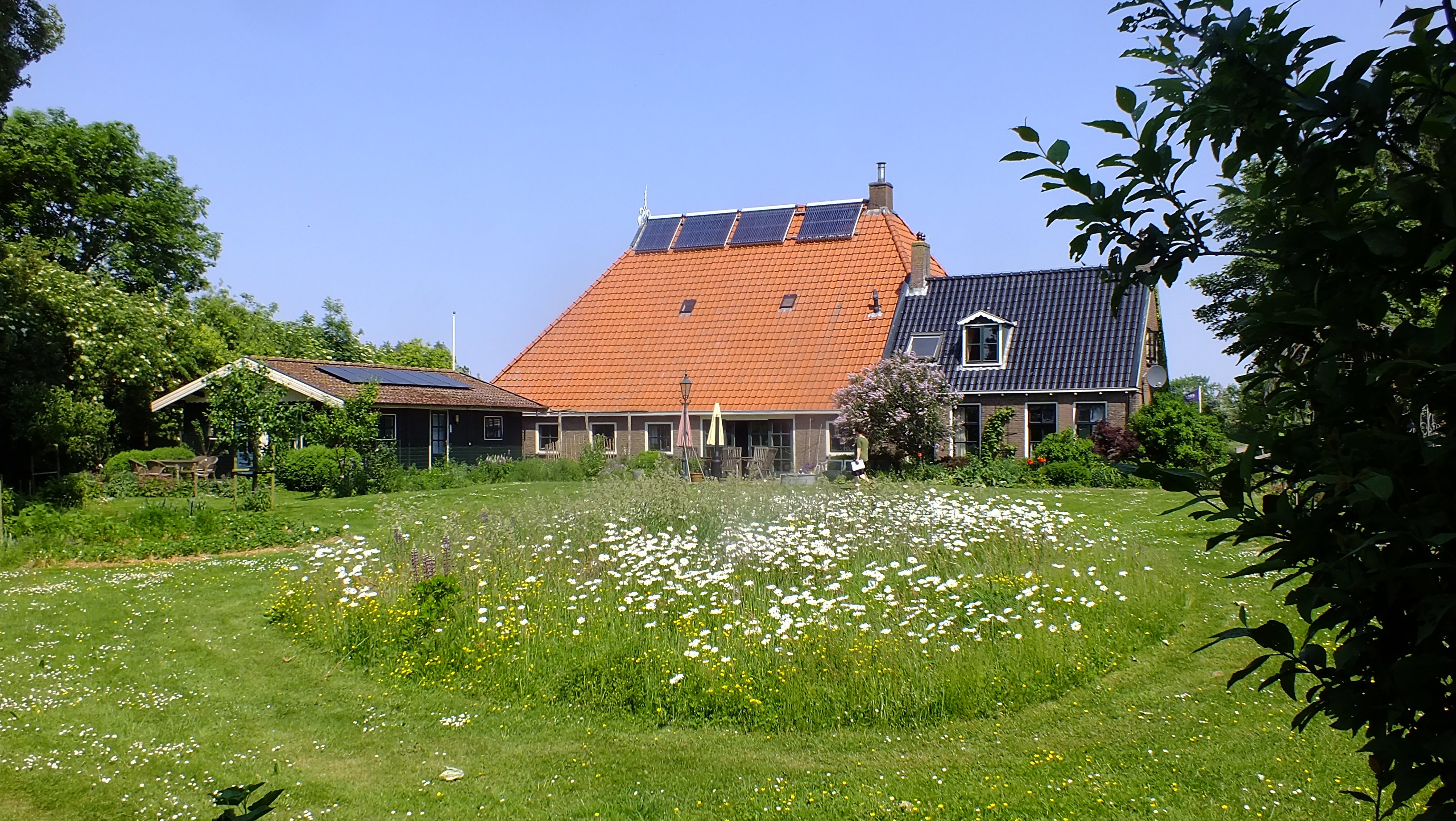 - image: 11