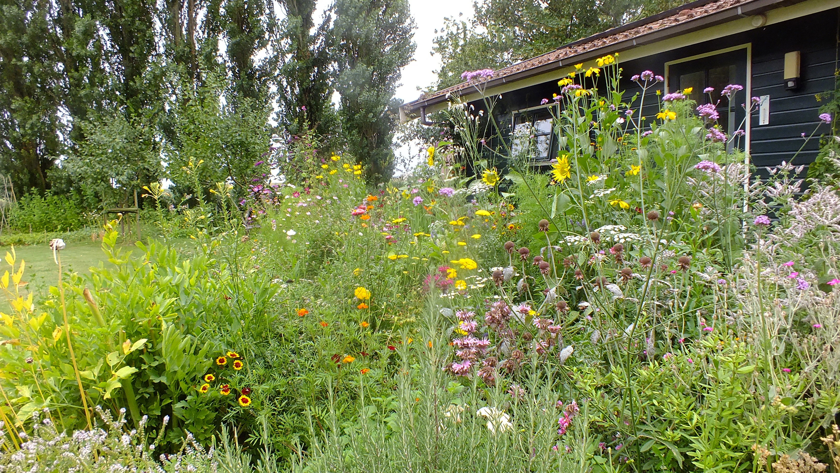 Naturhäuschen in Idsegahuizum (Makkum)