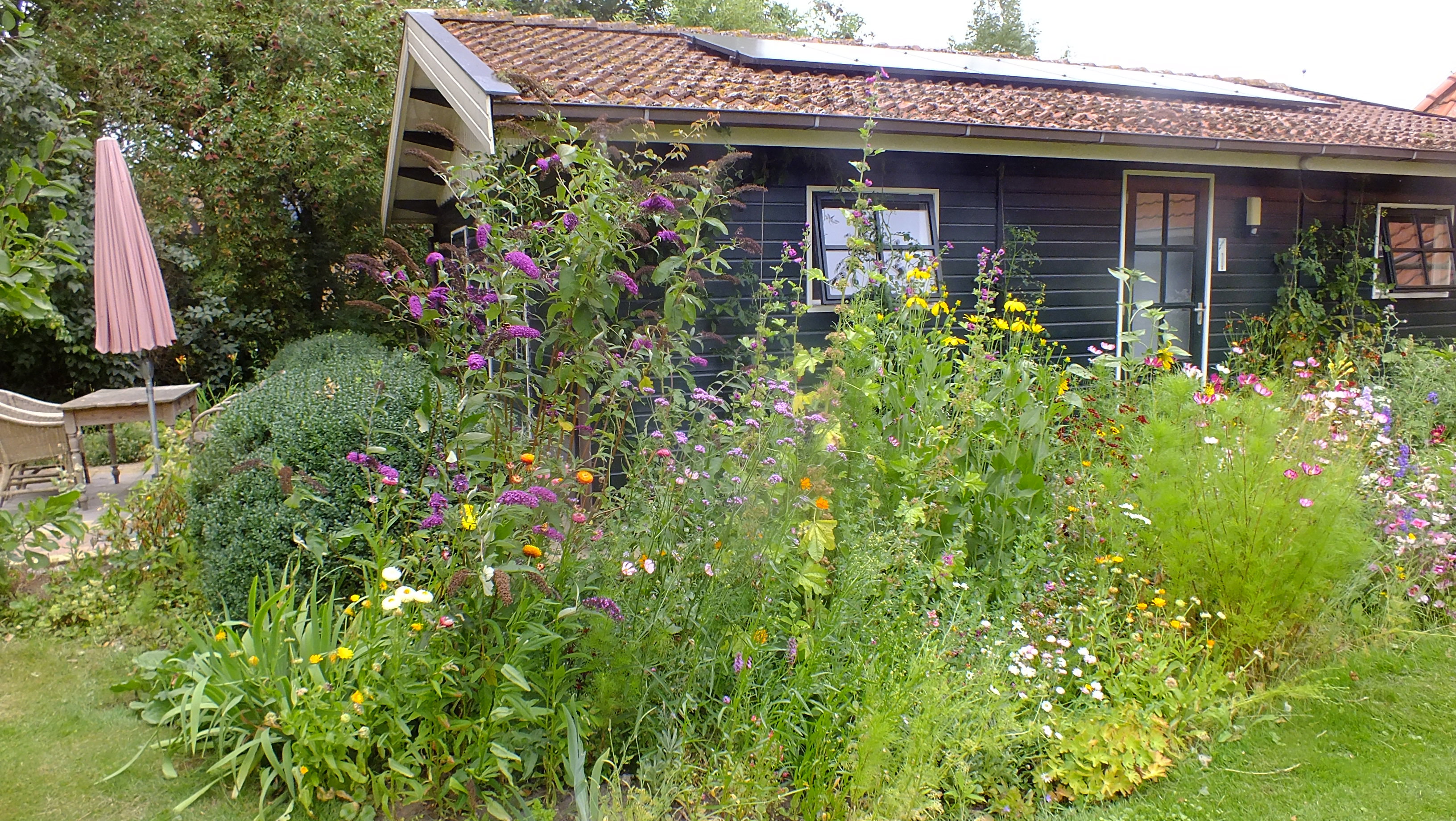 Naturhäuschen in Idsegahuizum (Makkum)