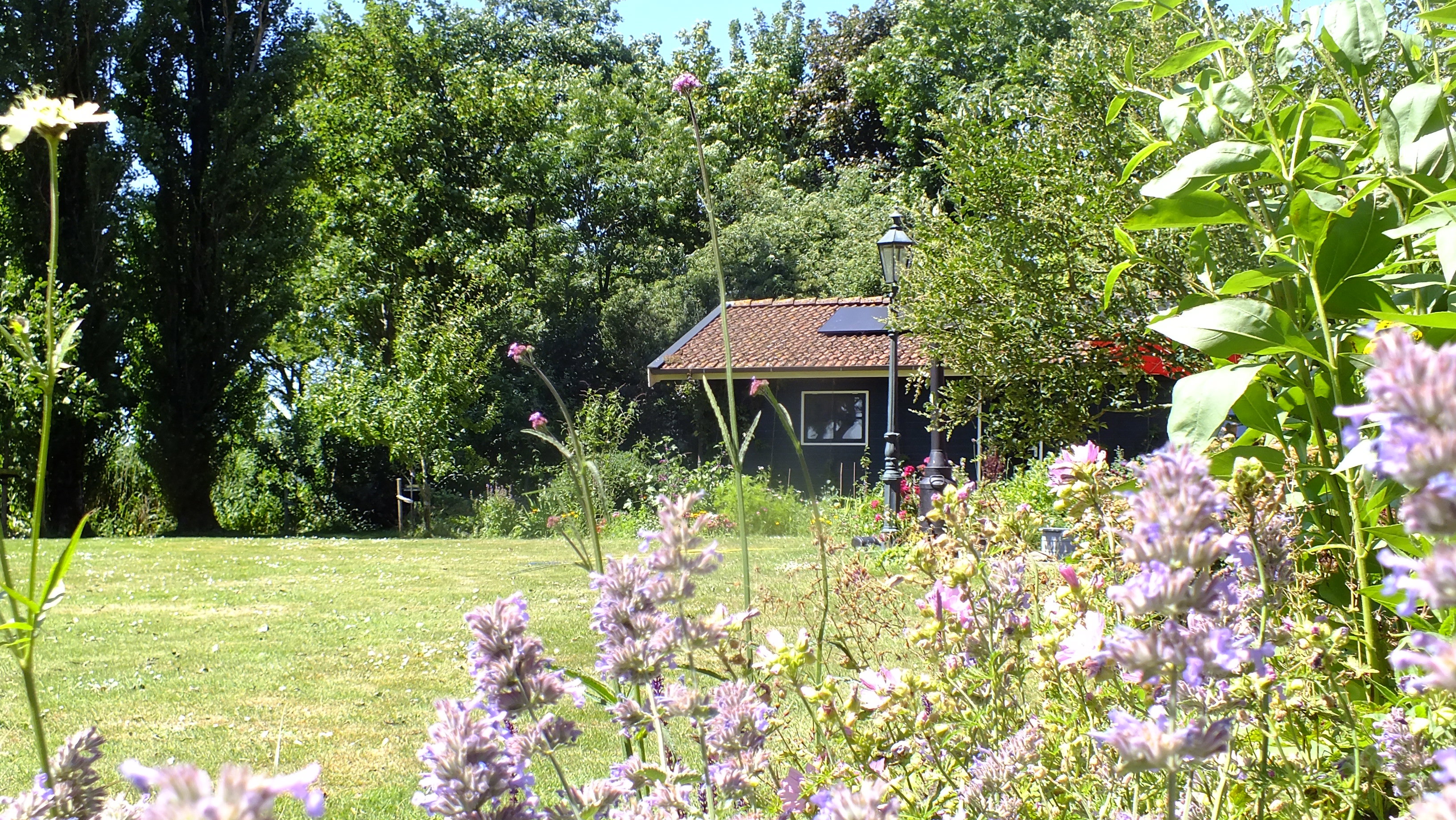 Naturhäuschen in Idsegahuizum (Makkum)