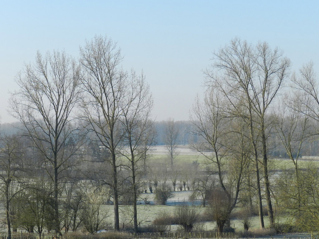 - image: 22