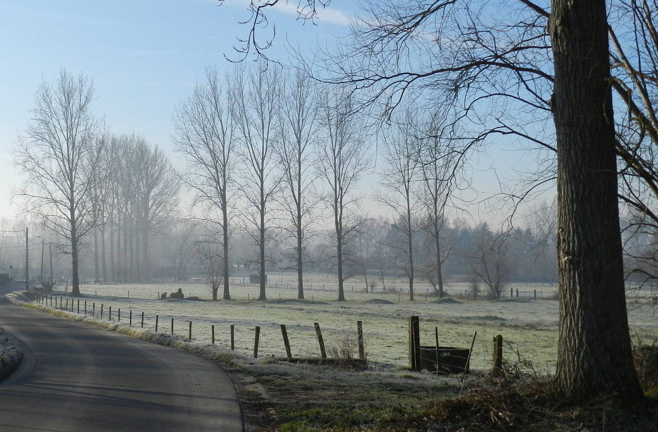 - image: 13
