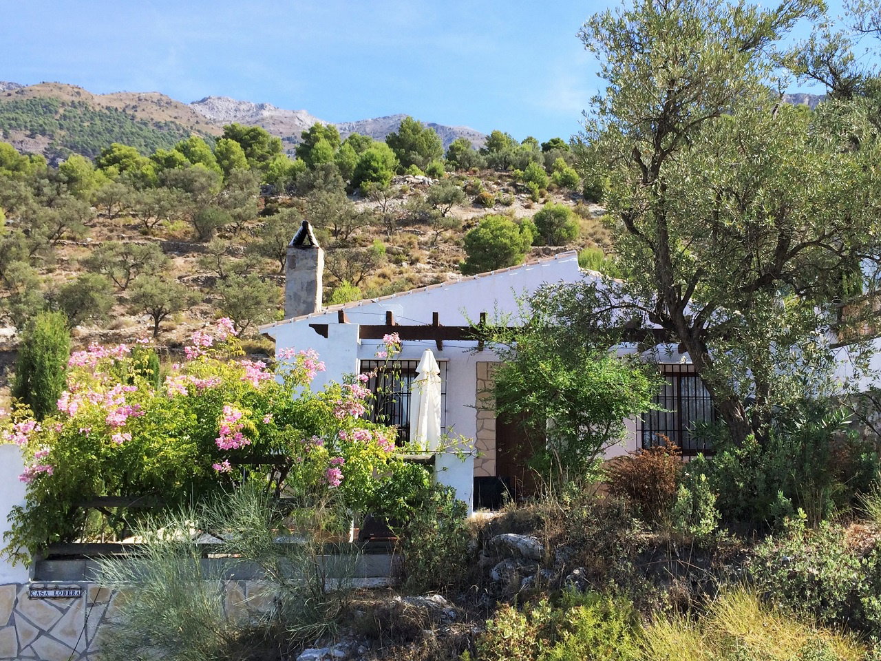 Naturhäuschen in Canillas de Aceituno