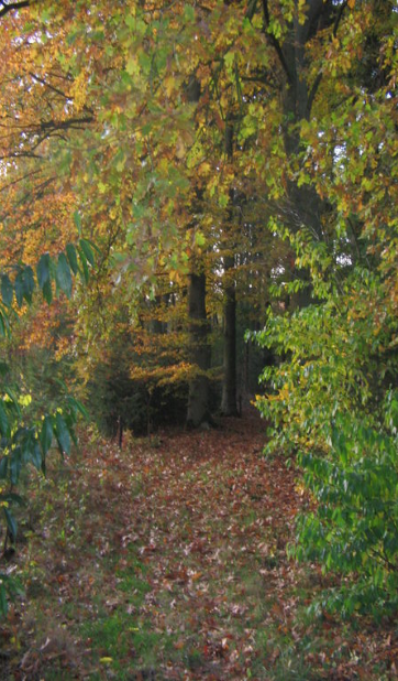 Maison nature à Wenum Wiesel