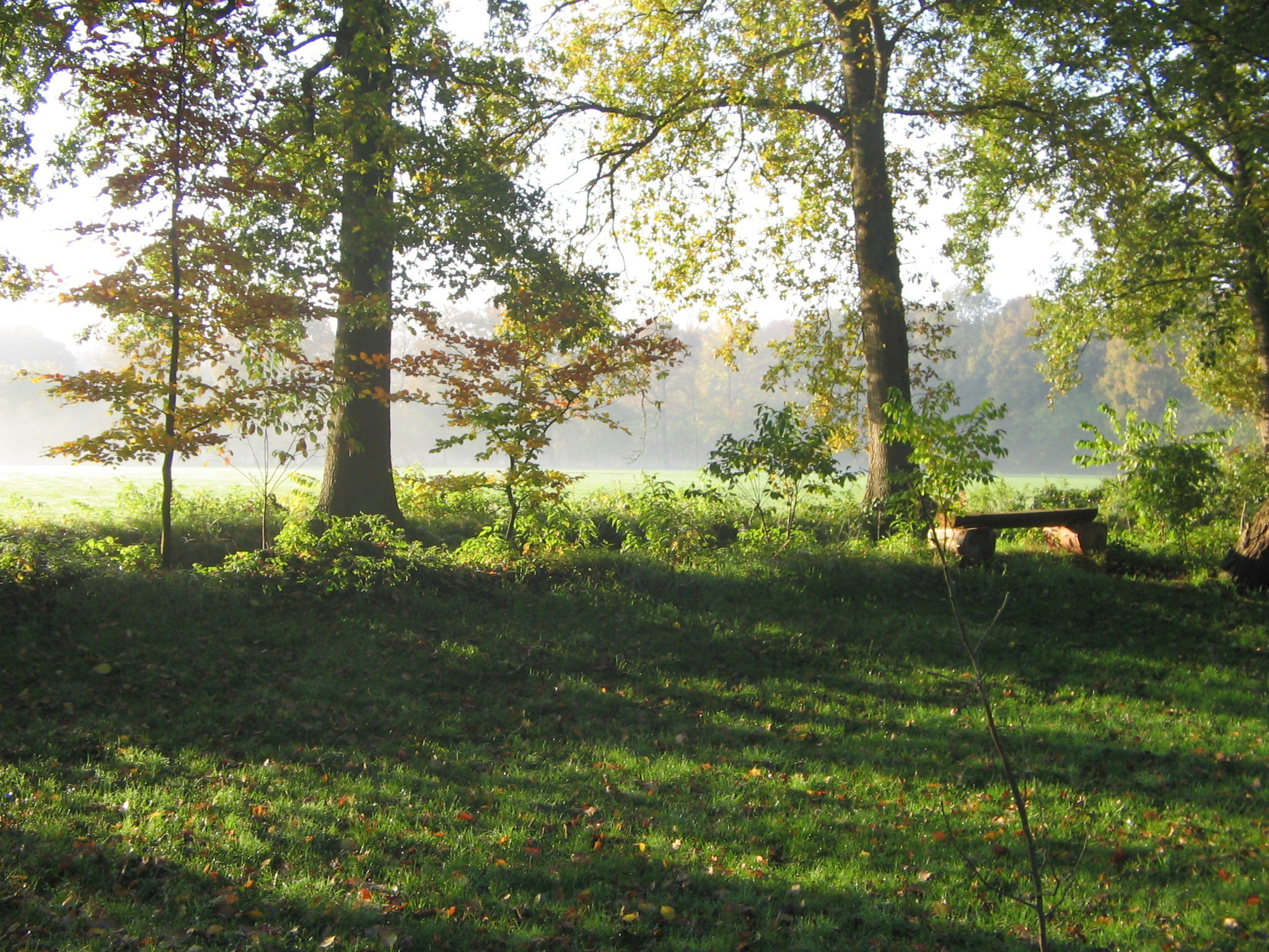 Maison nature à Wenum Wiesel