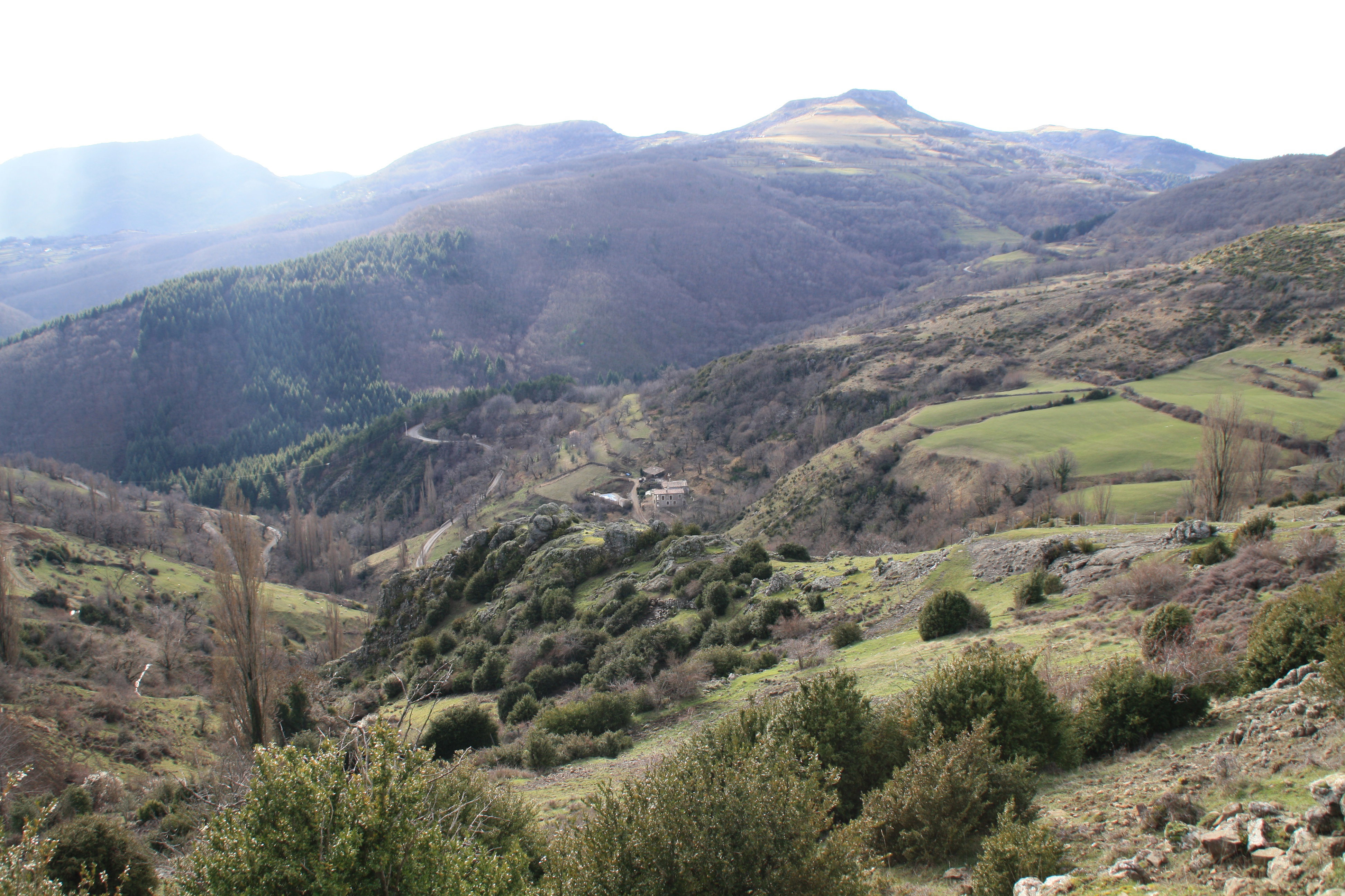 - image: 28