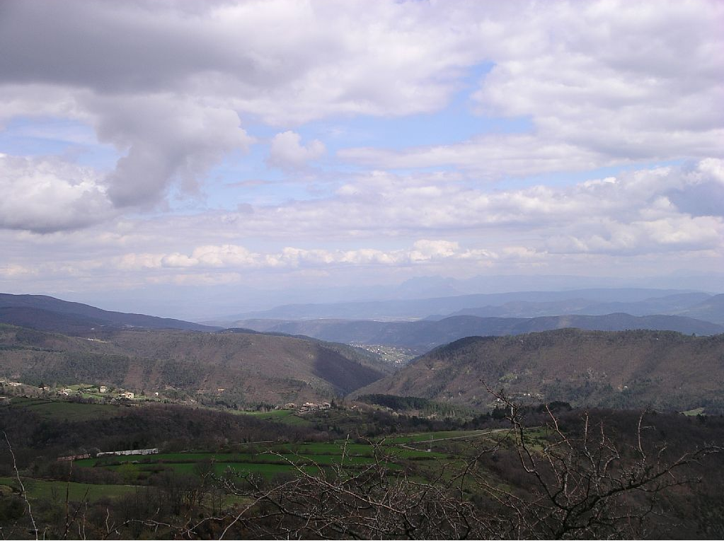 - image: 24