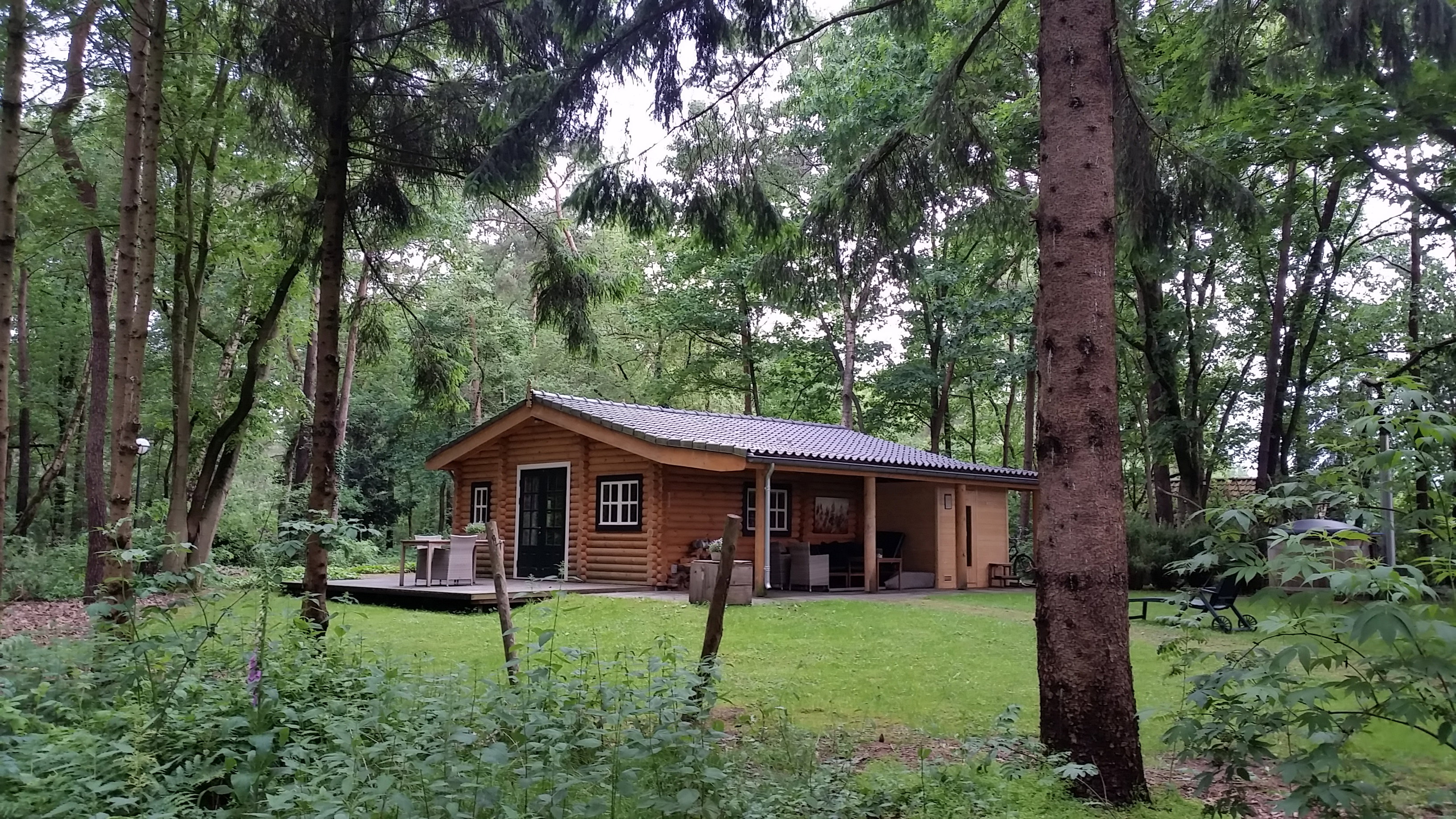 Maison nature à Loosbroek