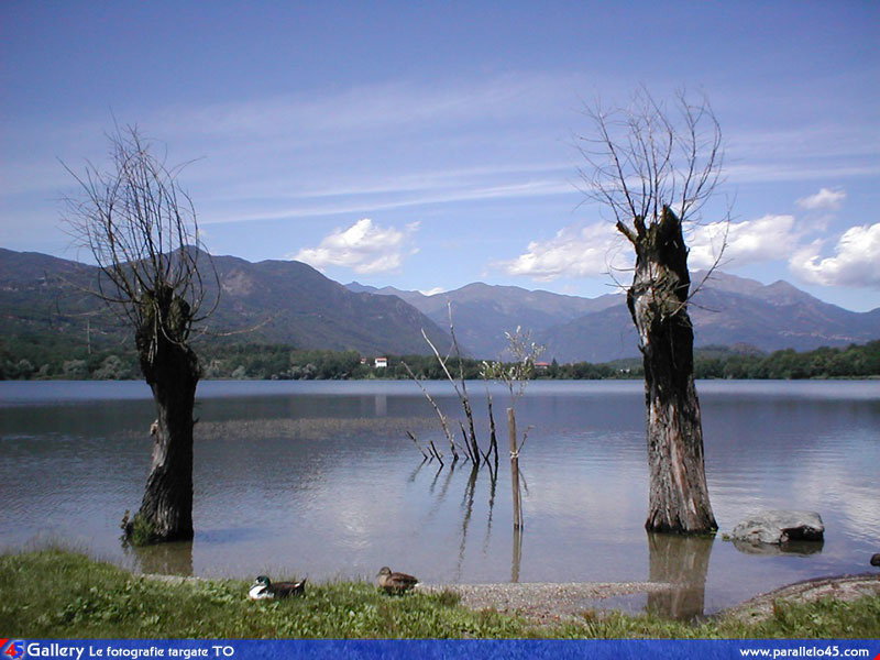 - image: 43