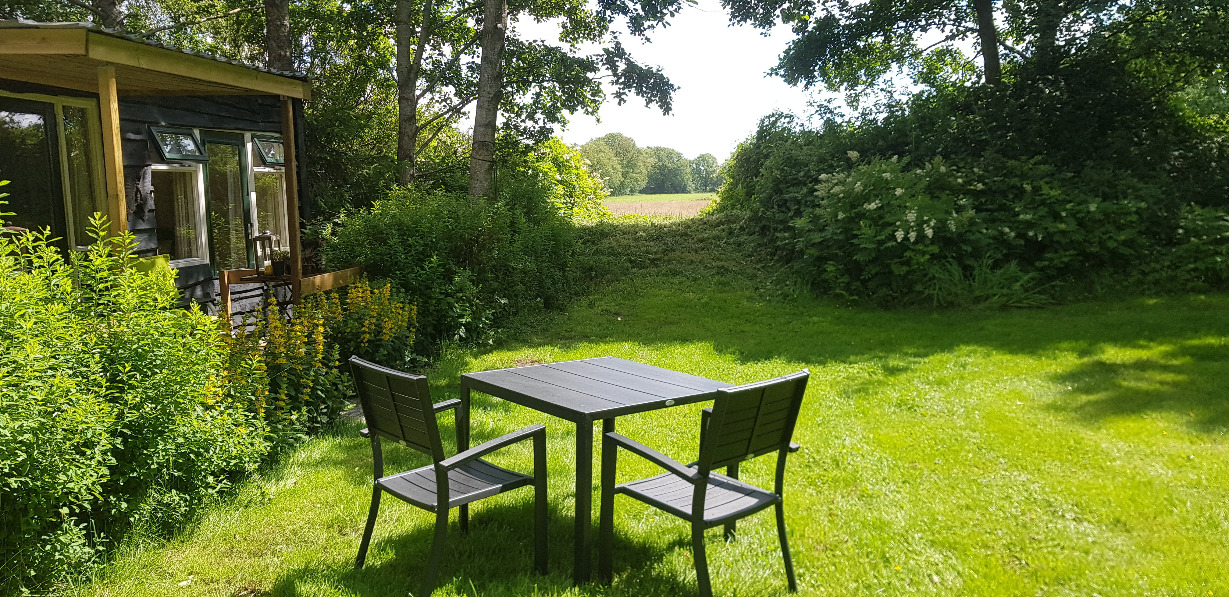 Maison nature à Drachten