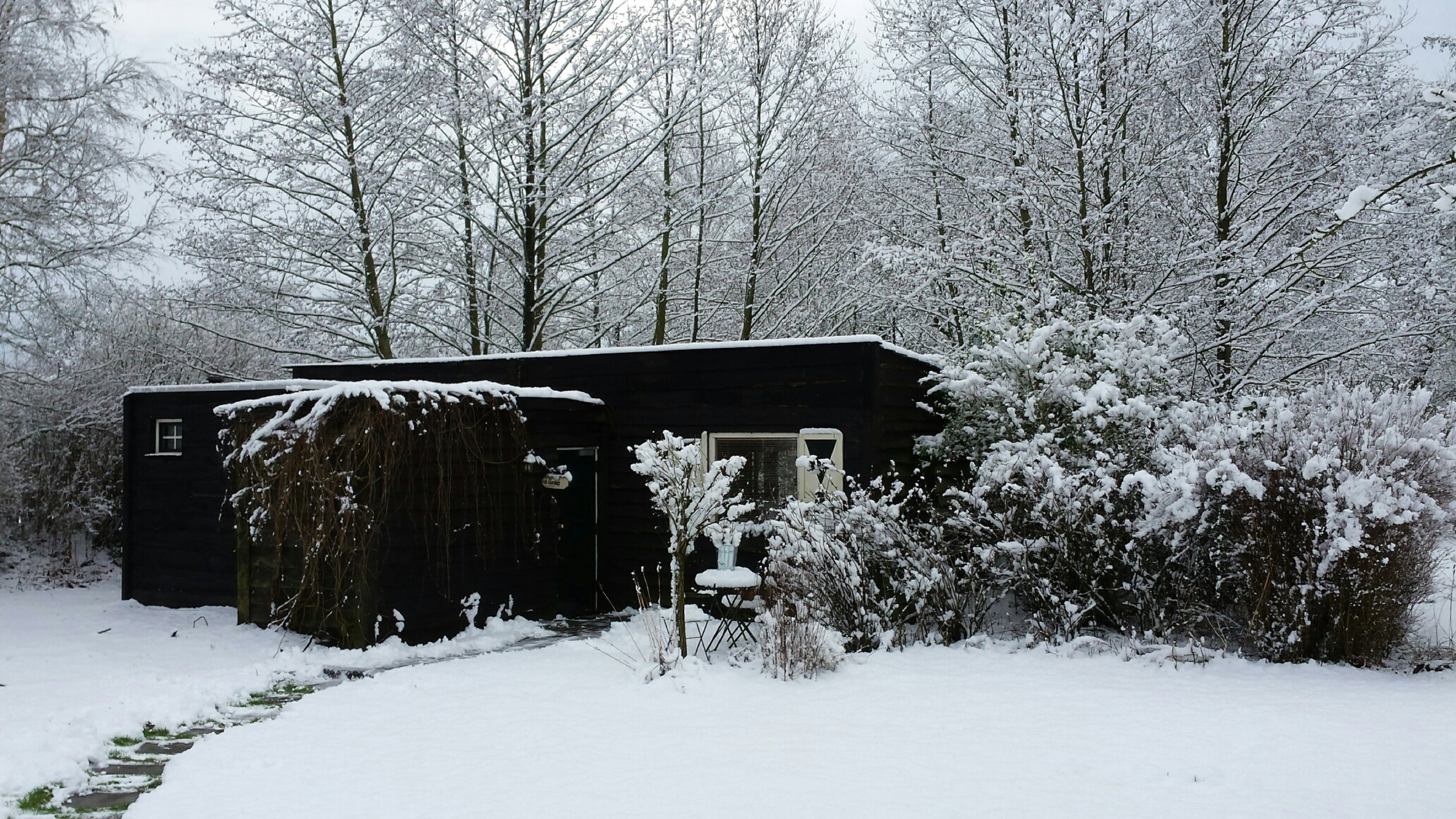 - image: 21