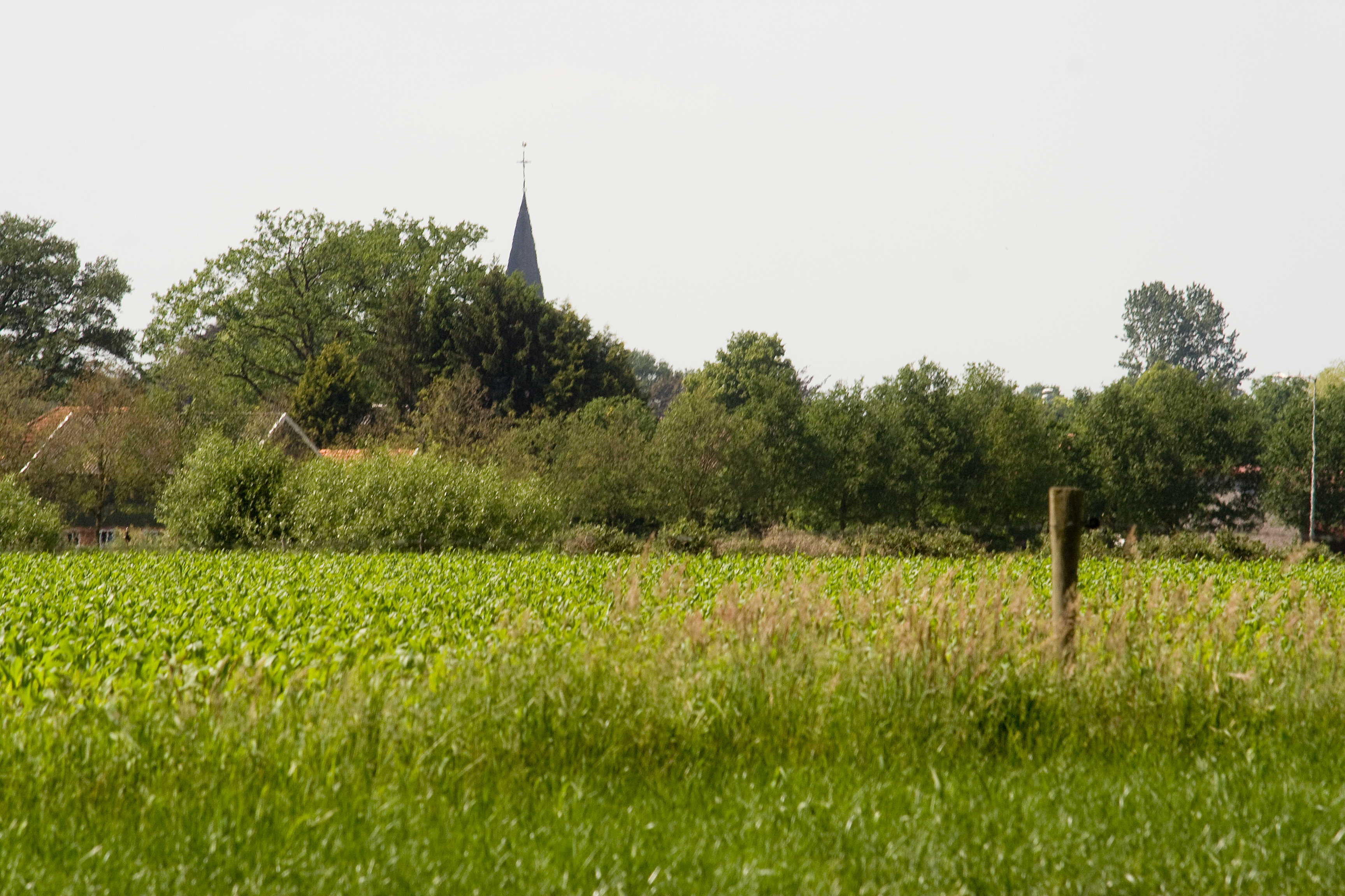 - image: 12