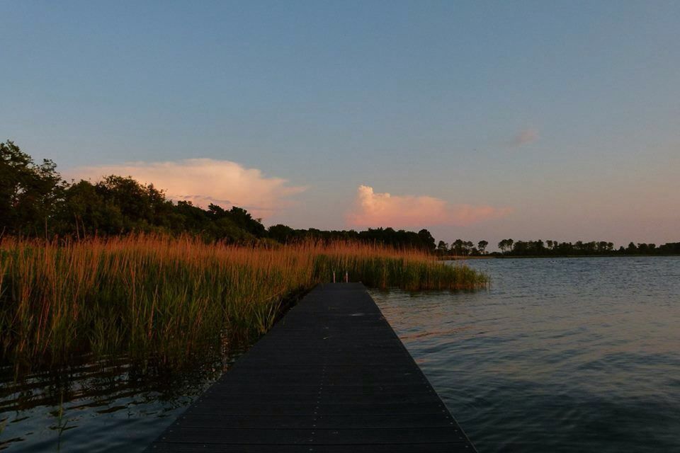 - image: 25