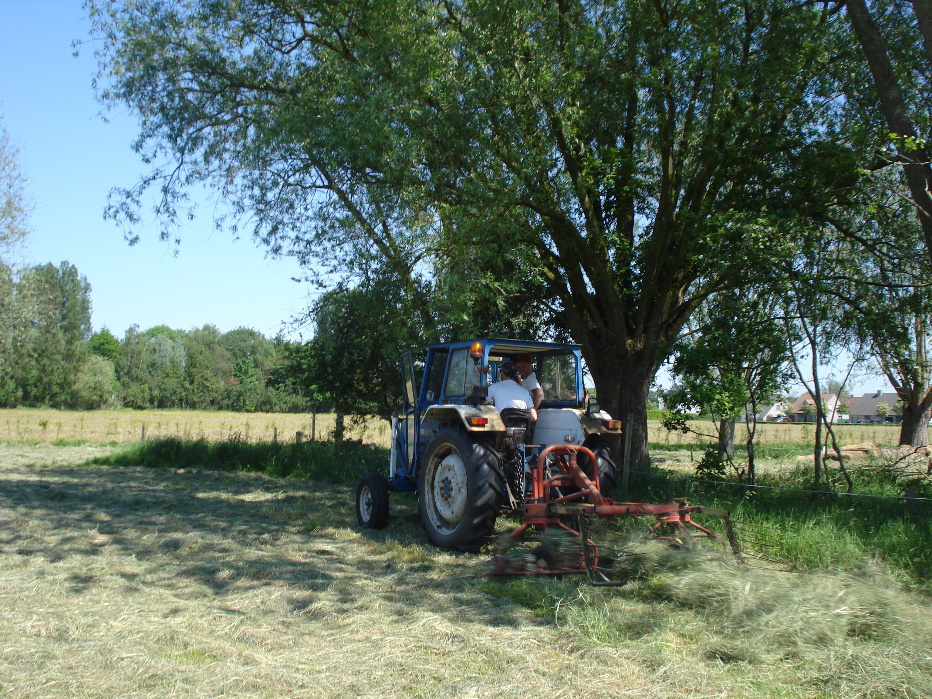 Naturhäuschen in Jabbeke