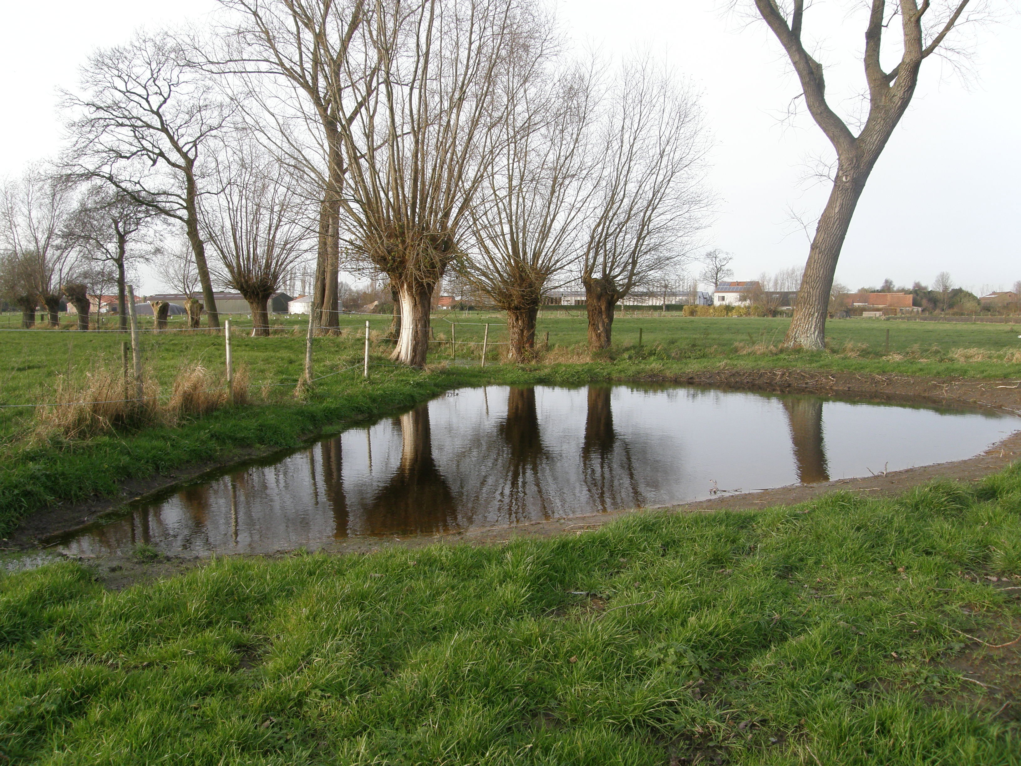 - image: 11