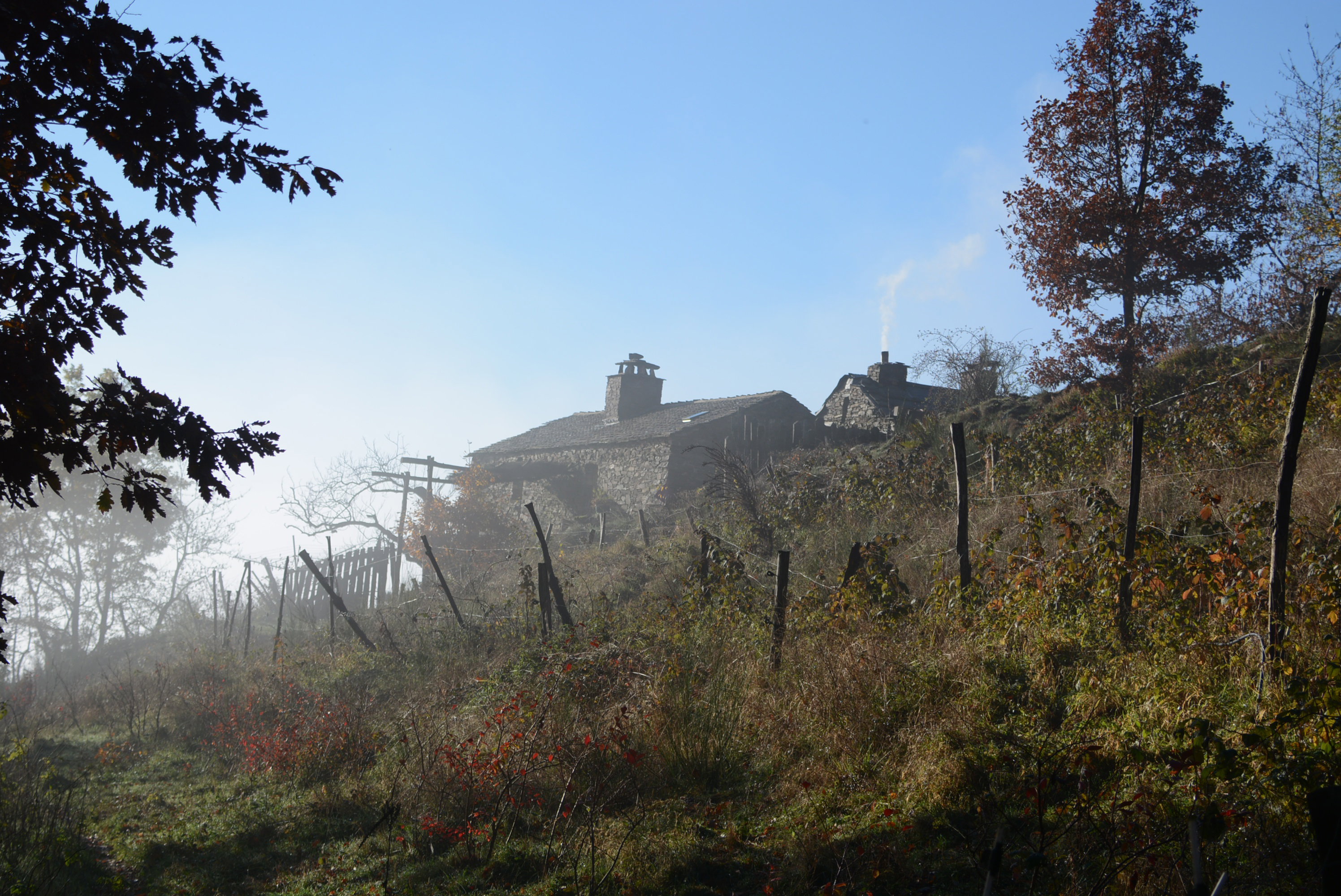 Maison nature à Saint André de Lancize