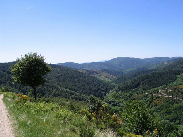 - image: 14