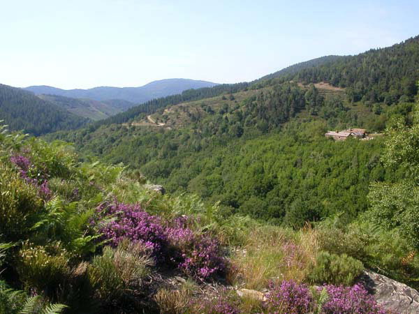 - image: 15