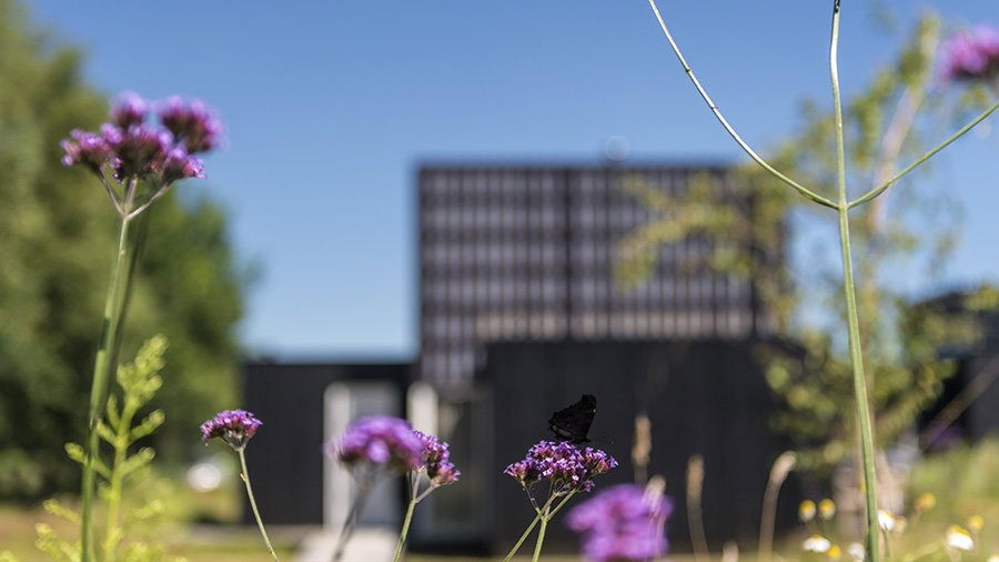 Nature house in Wapserveen