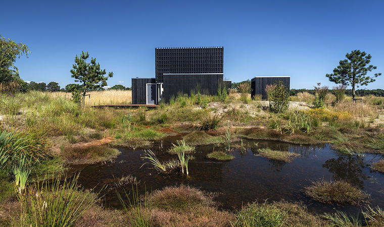 Nature house in Wapserveen