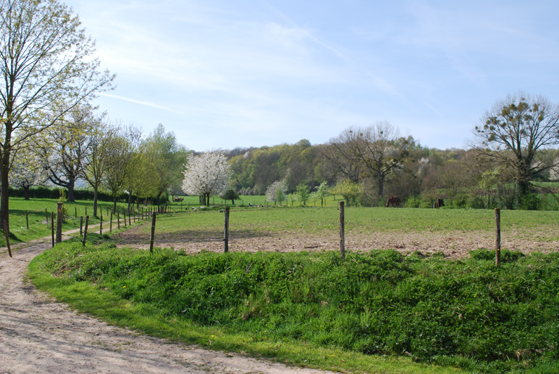 Naturhäuschen in Mechelen