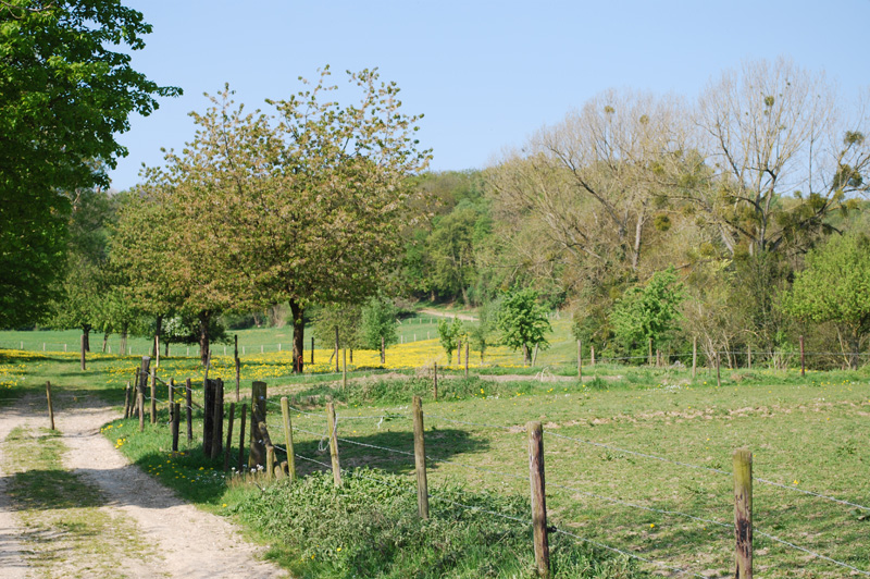 Naturhäuschen in Mechelen
