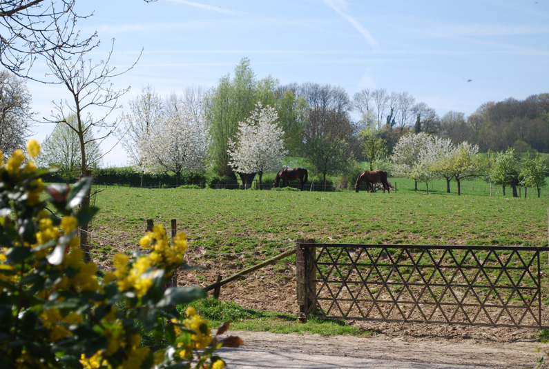 Naturhäuschen in Mechelen