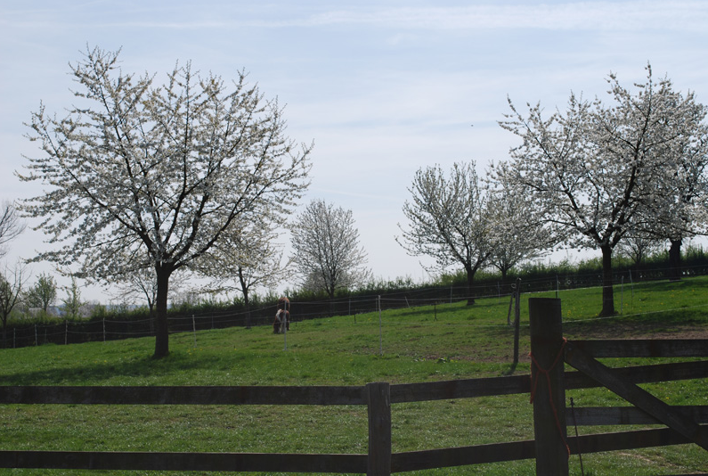 Naturhäuschen in Mechelen