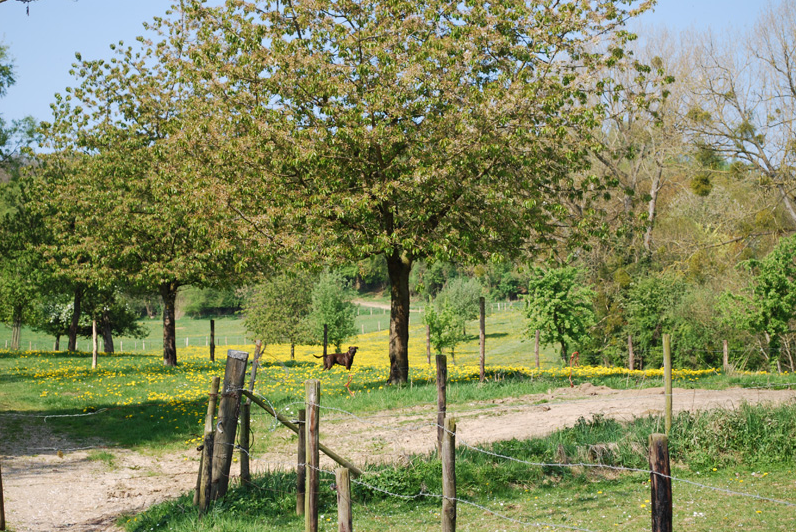 - image: 14