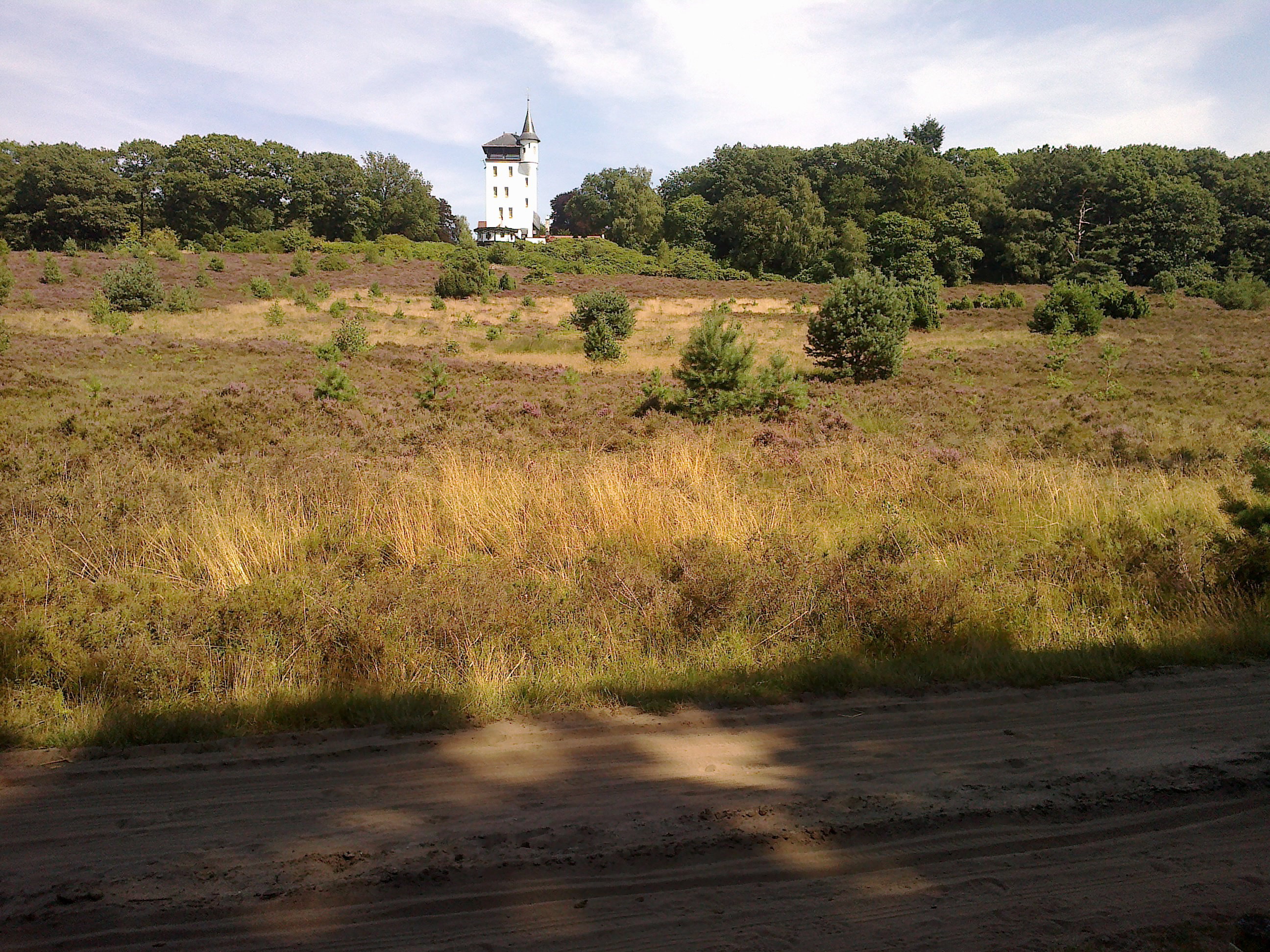 - image: 25