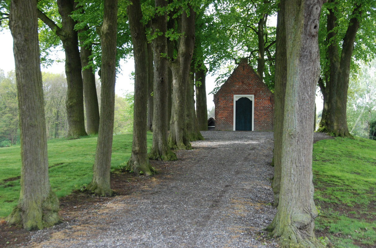 - image: 17