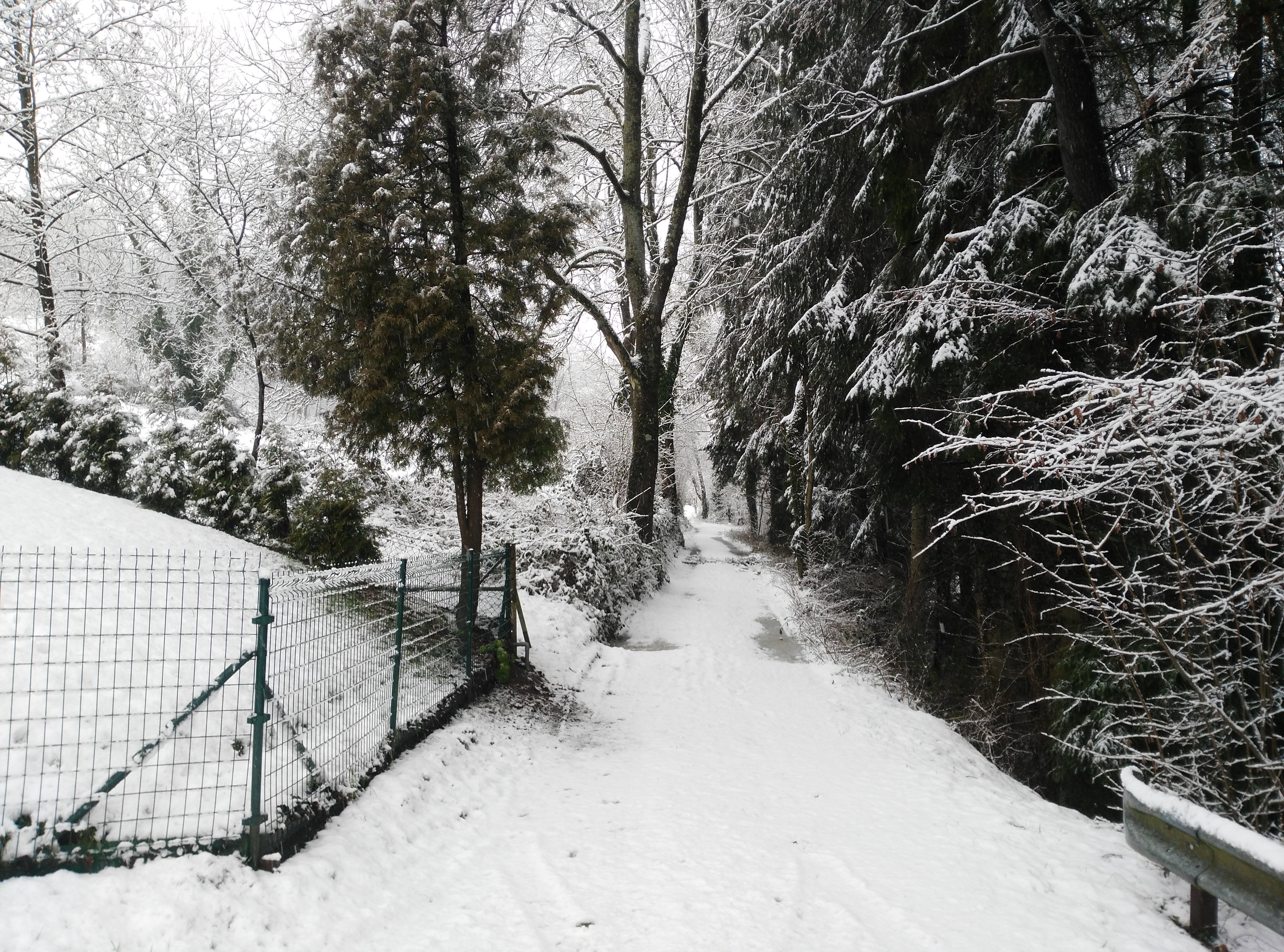 Maison nature à Durbuy