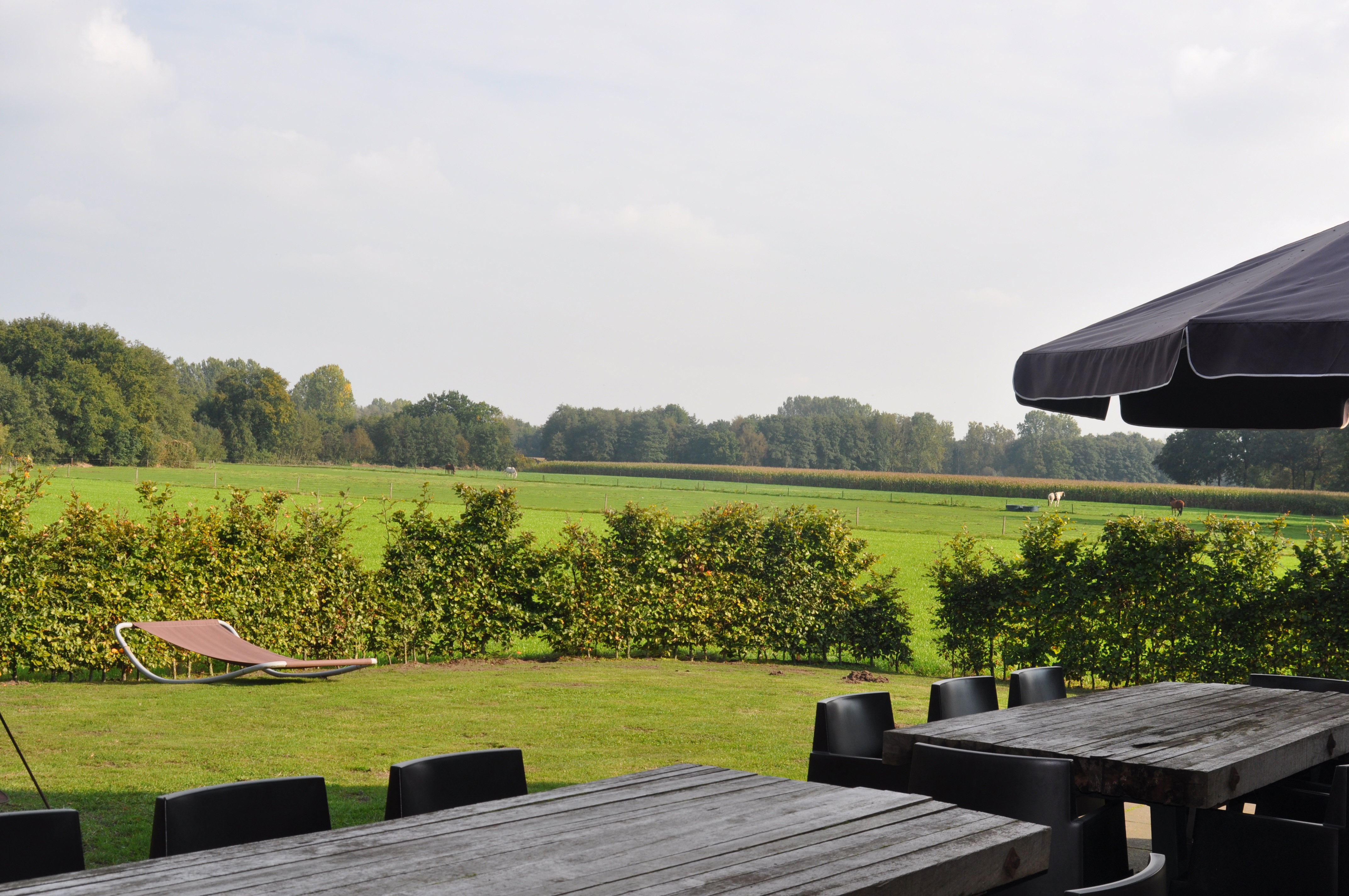 Naturhäuschen in Leende