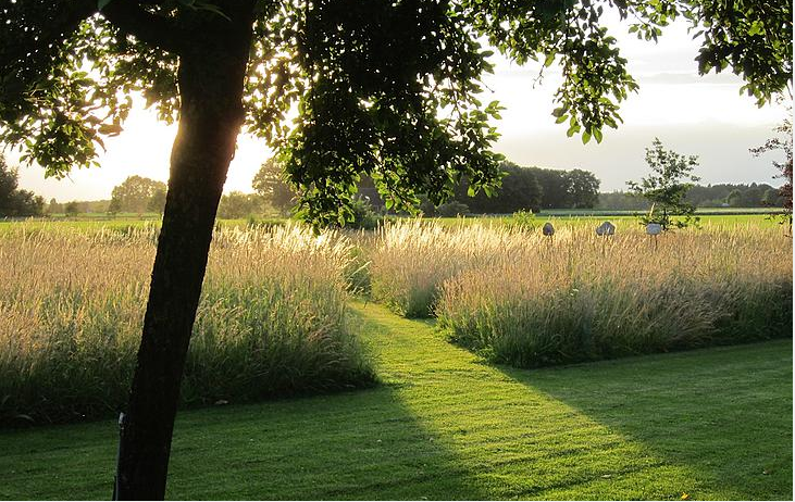 - image: 14