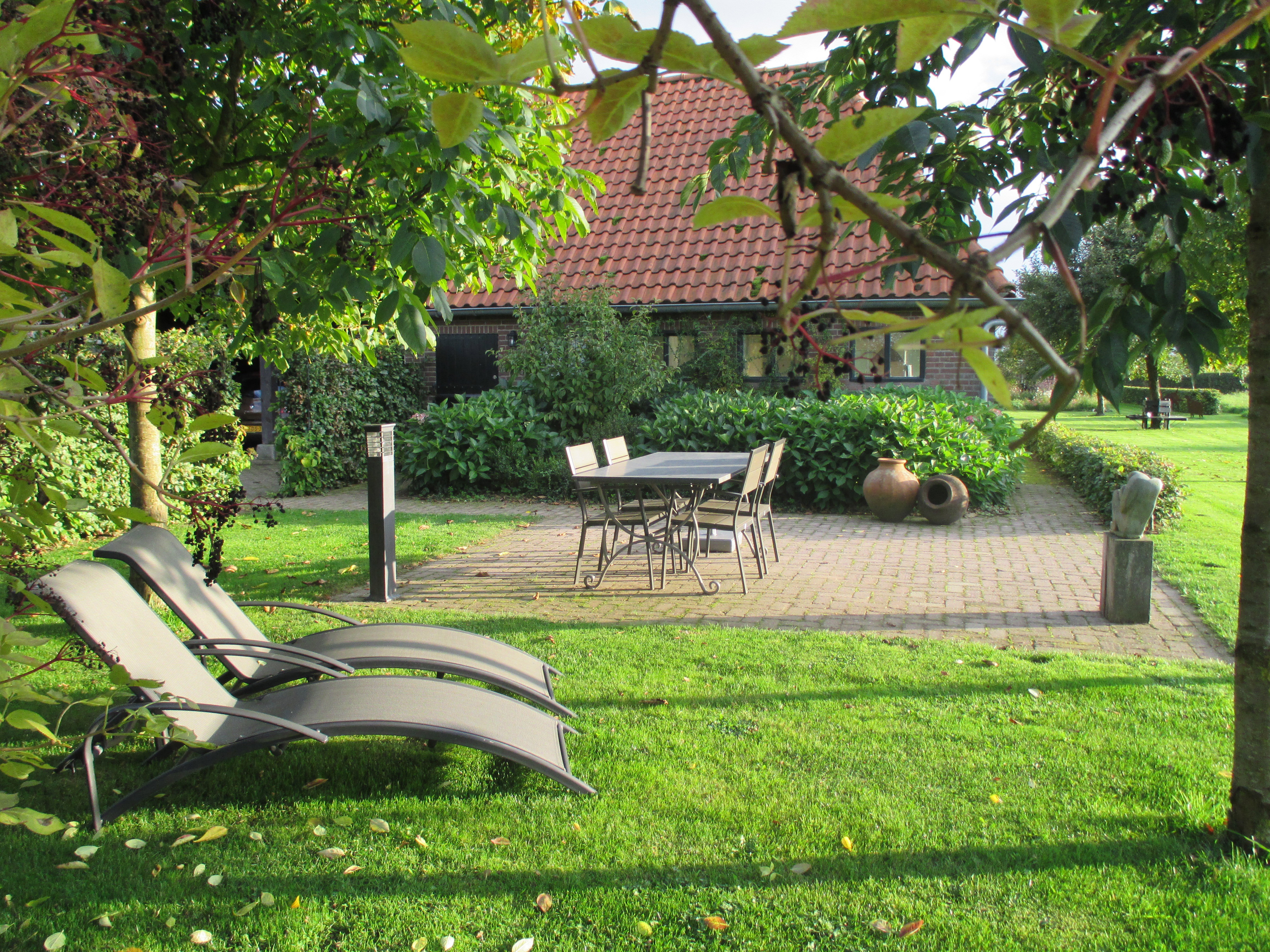 - image: 2