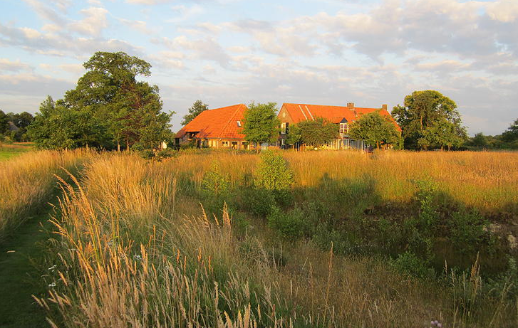- image: 1