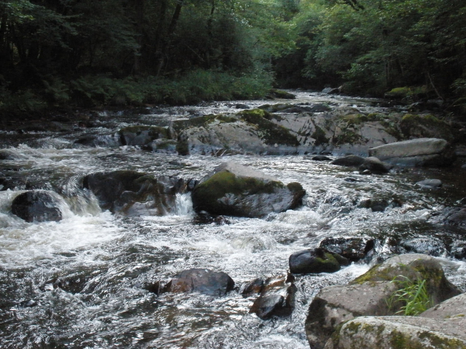 - image: 16