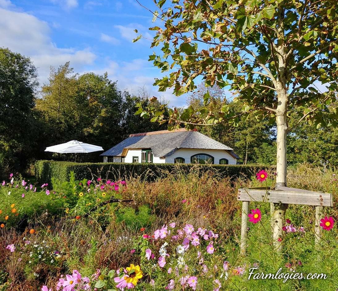 Natuurhuisje in Woubrugge