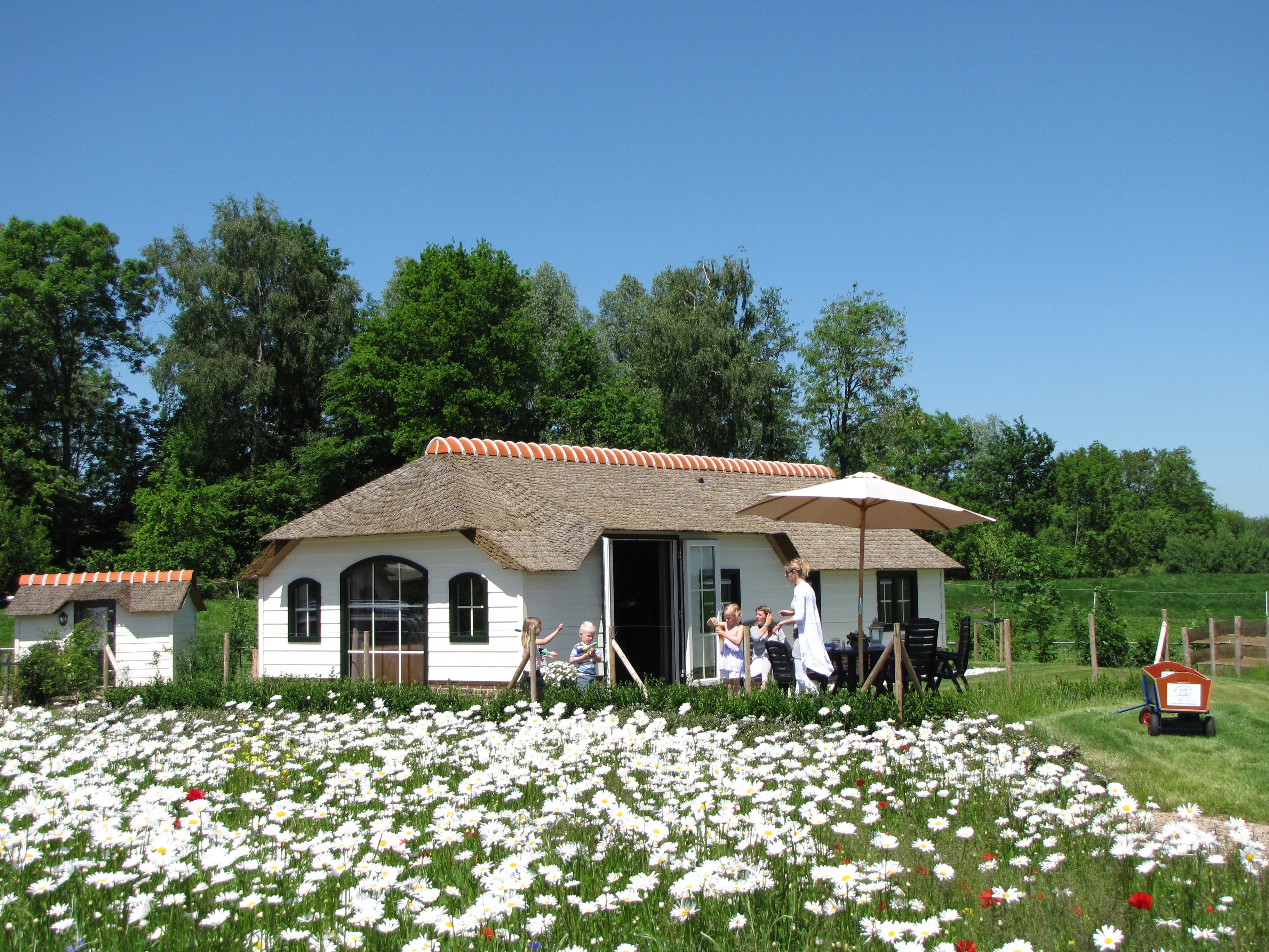 - image: 12