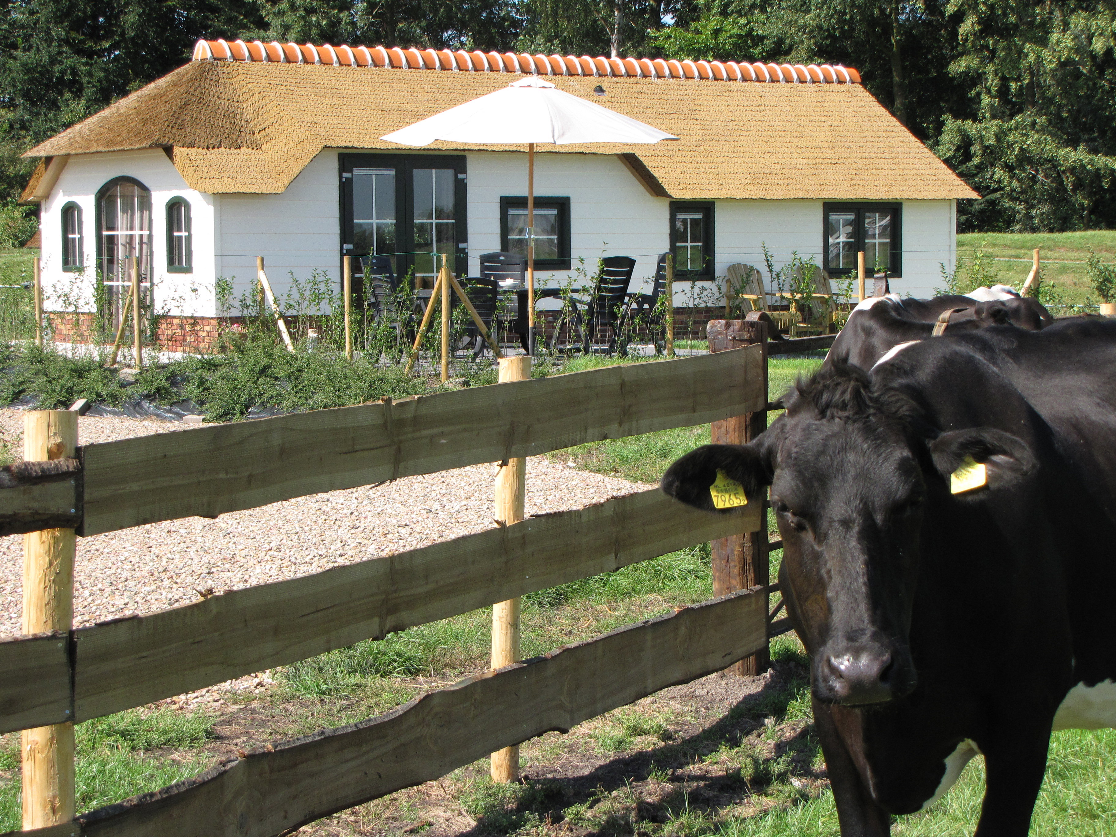 Natuurhuisje in Woubrugge